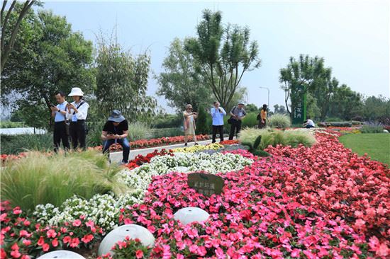 海外华文媒体走进成都郫都 “点赞”乡村振兴建设