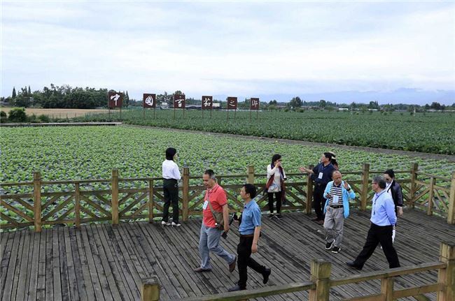 海外华媒探访“中国雪茄之乡”什邡 感受中式雪茄文化魅力