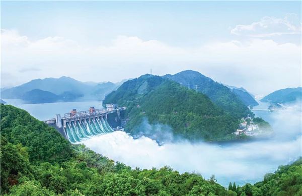 新闻发布：杭州最优人才生态吸引全球高尖人才