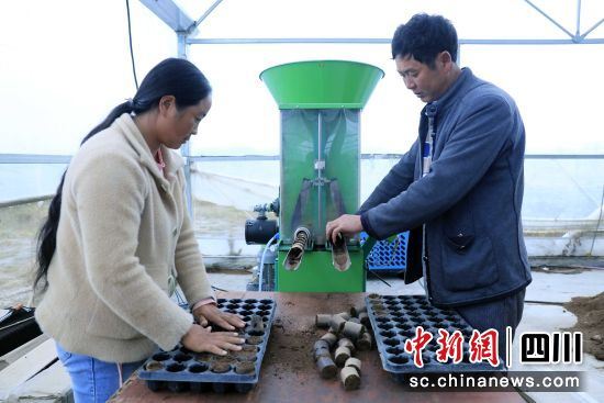 盐源：以先进技术培育优新品种 为苹果产业发展“提档次” - 中国新闻