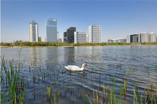 中国郑州全力打造极具活力的创新创业中心