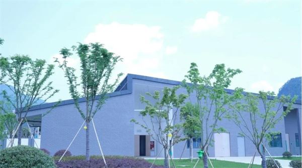 一匹马的智慧亚运之旅