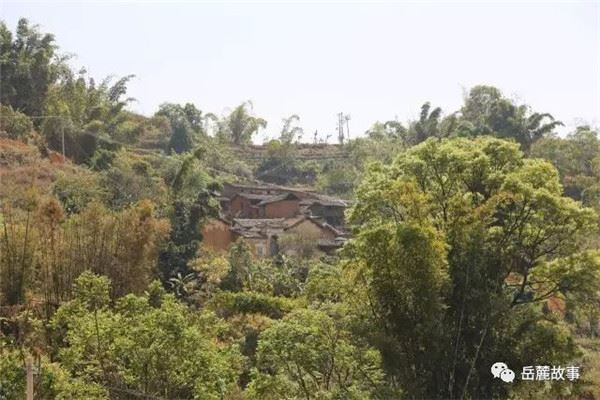 《国际刘崐研究》杂志（豪华版）在美国创刊