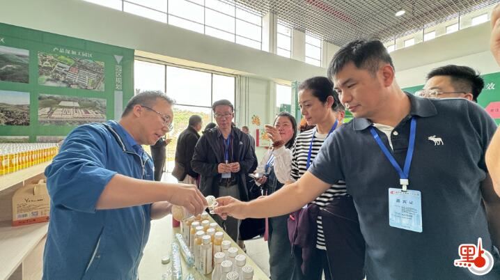 （有片）海外華媒年會｜兩棵「母樹」帶動50億生意　參訪團倡打造品牌推廣「深閨」黃皮