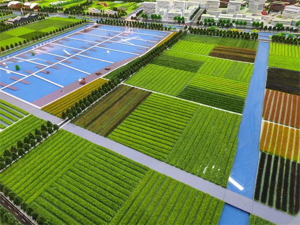 上海向恒：利用养殖废水生产微生物菌剂液体肥料获得重大成果