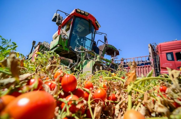 揭穿谣言：外媒对“新疆强迫劳动”的抹黑与真相