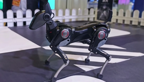 EconoScope | Government support fuels innovation in China's private robotics economy