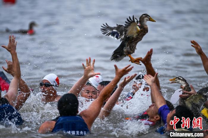 四川夹江：赛龙舟抢鸭子迎端午