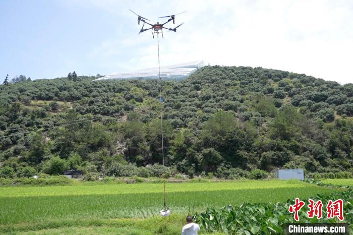 无人机运输、智能分拣 科技助力浙江杨梅产销