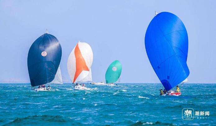 【魅力舟山 】全球帆船大咖云集，嵊泗魅力何在？
