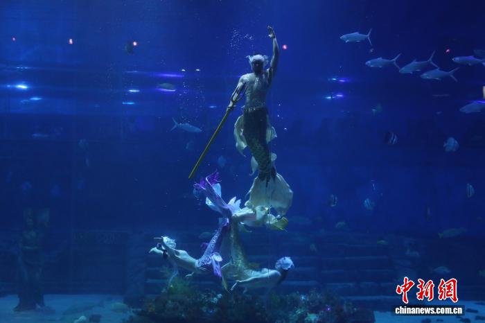 南美“美人鱼”游进中国