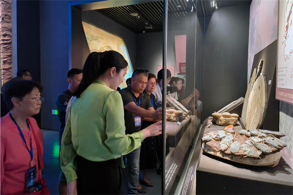 走進洞庭湖博物館　華媒記者點讚「生態迪斯尼」