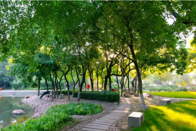 此心安处是吾乡