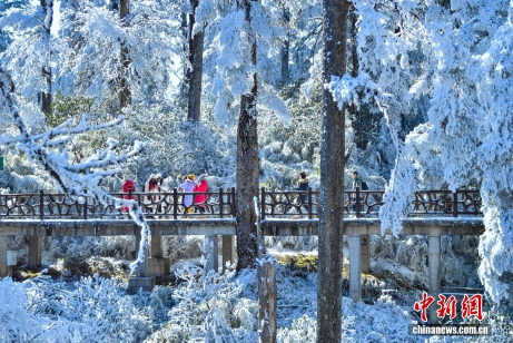 四川眉山：瓦屋山雪后银装素裹引游人