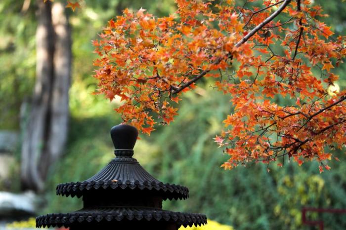 今年北京入秋时间为2016年以来最早