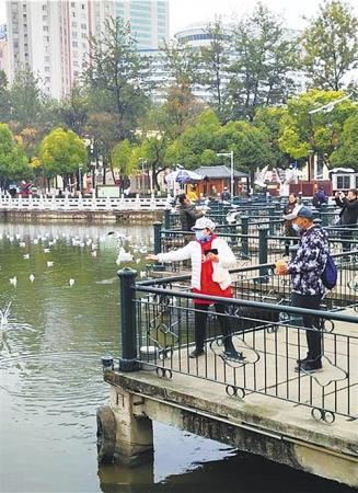 一部手机游云南