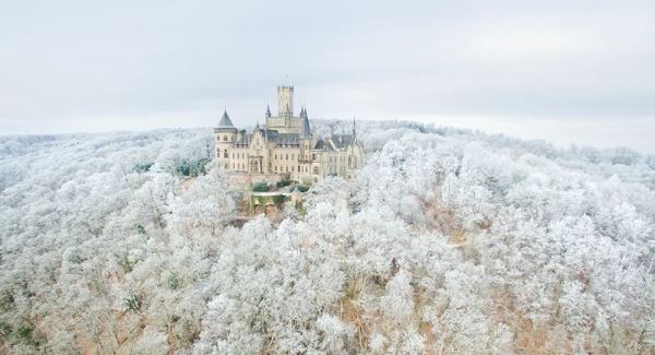 1613692541270434.jpg 11.webp.jpg