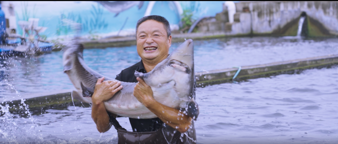 微信图片_20250619161019