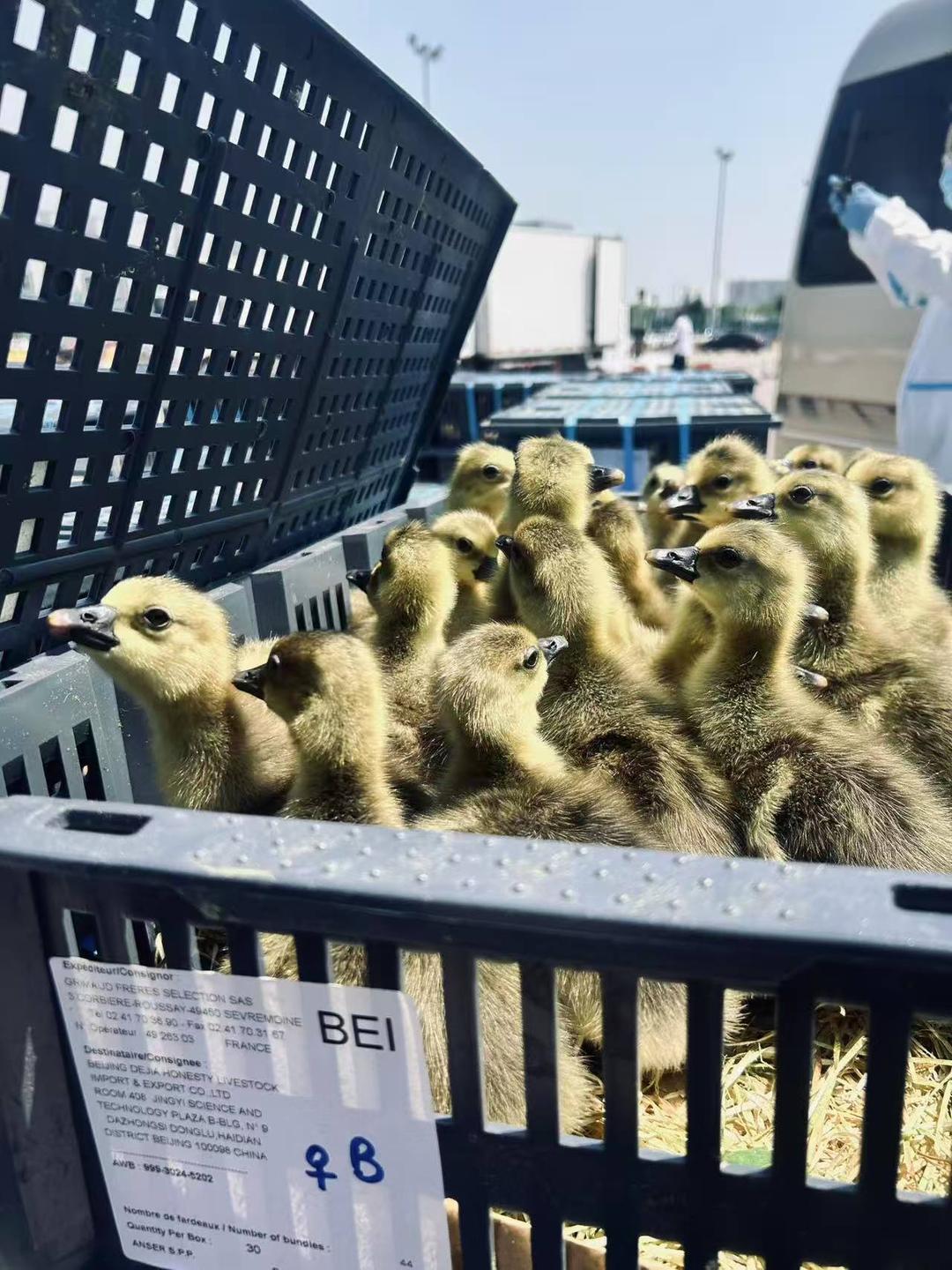 微信图片_20250619160625